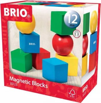 BRIO Magnetic Blocks MAGNEETTIPALIKAT